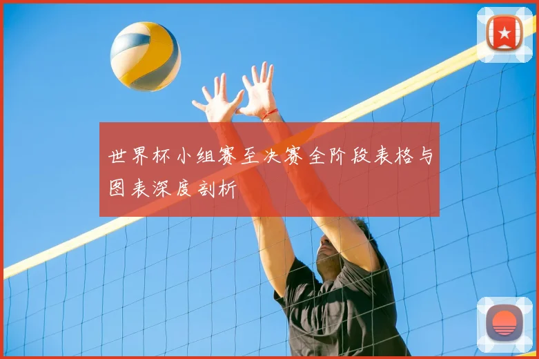 世界杯小组赛至决赛全阶段表格与图表深度剖析