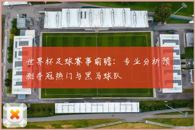 世界杯足球赛事前瞻:专业分析预测夺冠热门与黑马球队