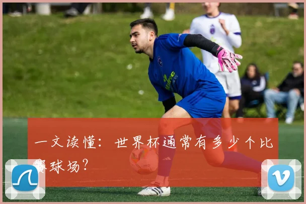 一文读懂:世界杯通常有多少个比赛球场?
