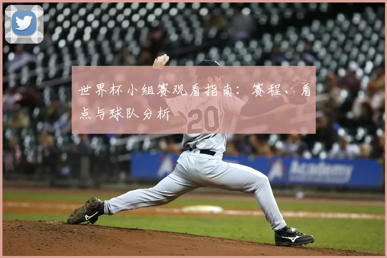 世界杯小组赛观看指南：赛程、看点与球队分析