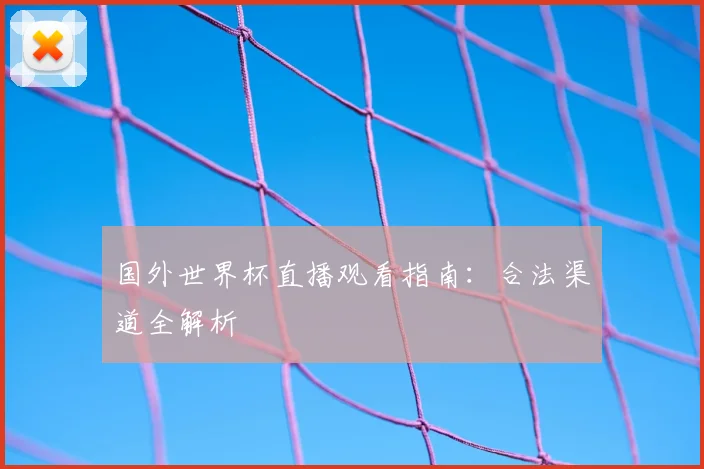 国外世界杯直播观看指南：合法渠道全解析