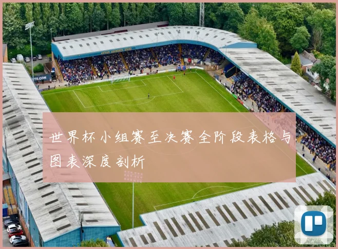 世界杯小组赛至决赛全阶段表格与图表深度剖析