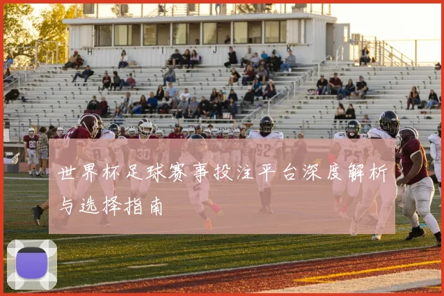 世界杯足球赛事投注平台深度解析与选择指南
