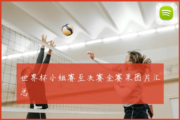 世界杯小组赛至决赛全赛果图片汇总